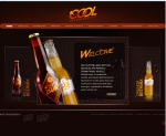 Создание FLASH - сайта (визитки) с возможностью продвижения